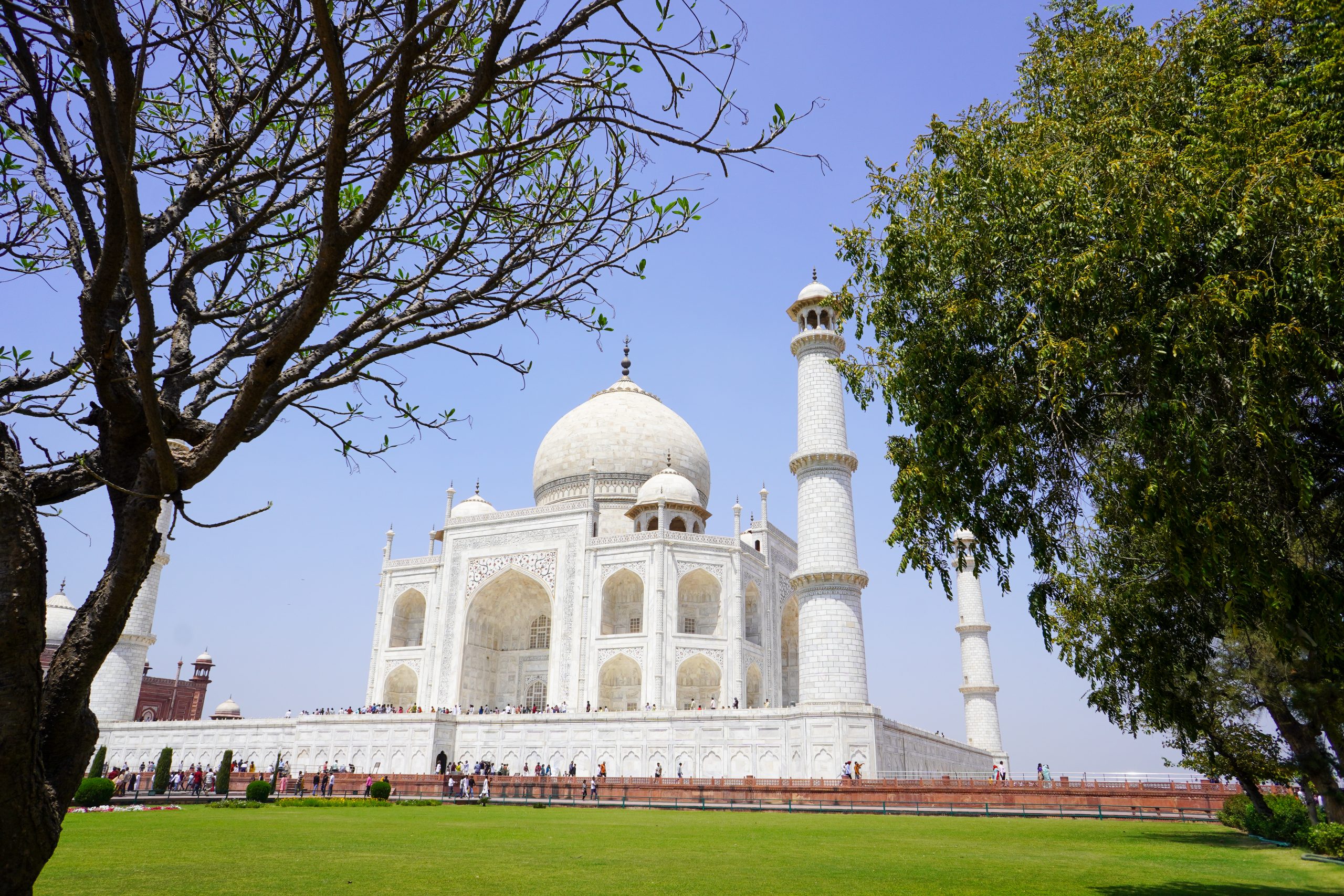 Taj Mahal full facade under clear blue sky, highlighting intricate Mughal architecture