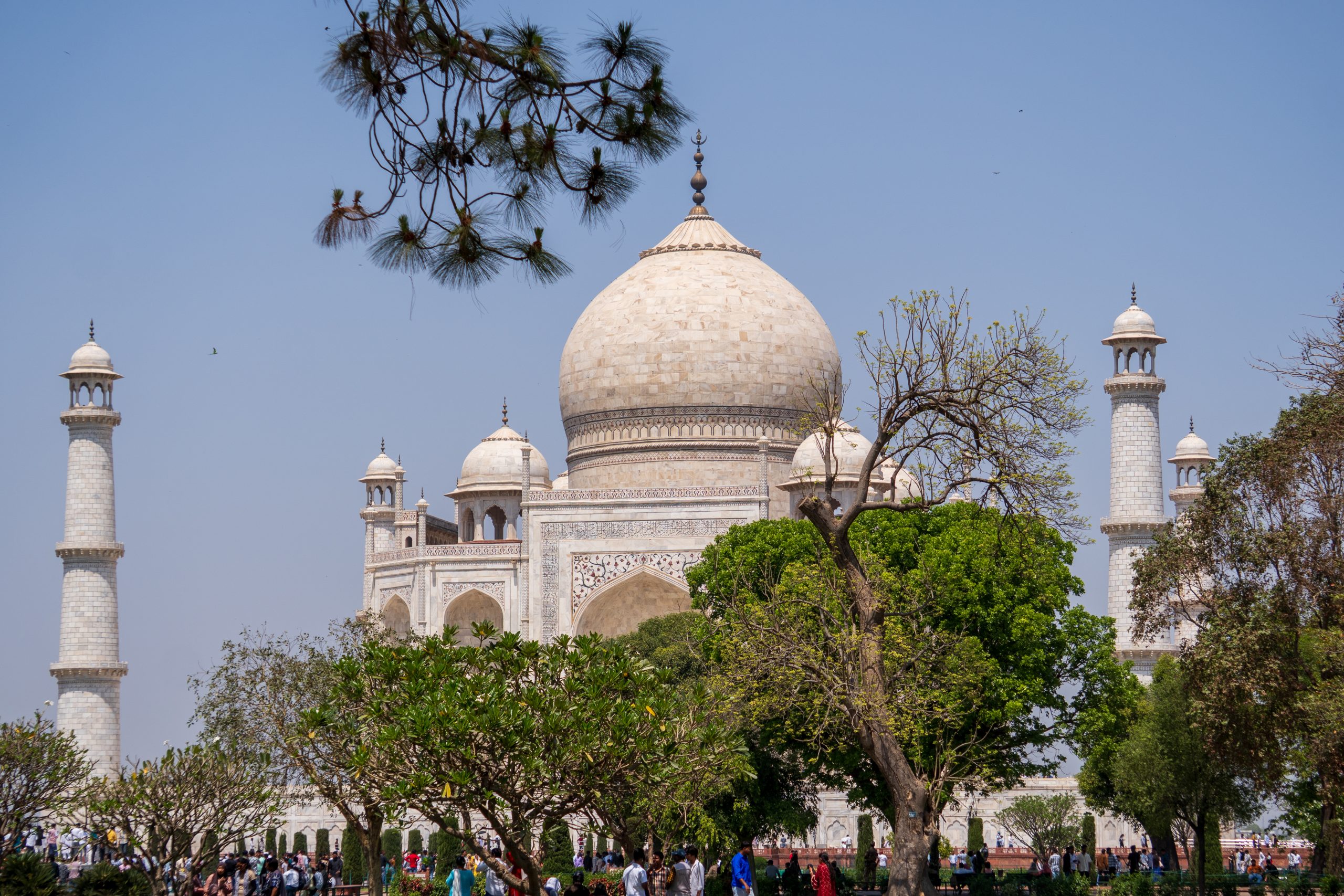 The Taj Mahal: A Love Story in Marble With Green Surroundings 