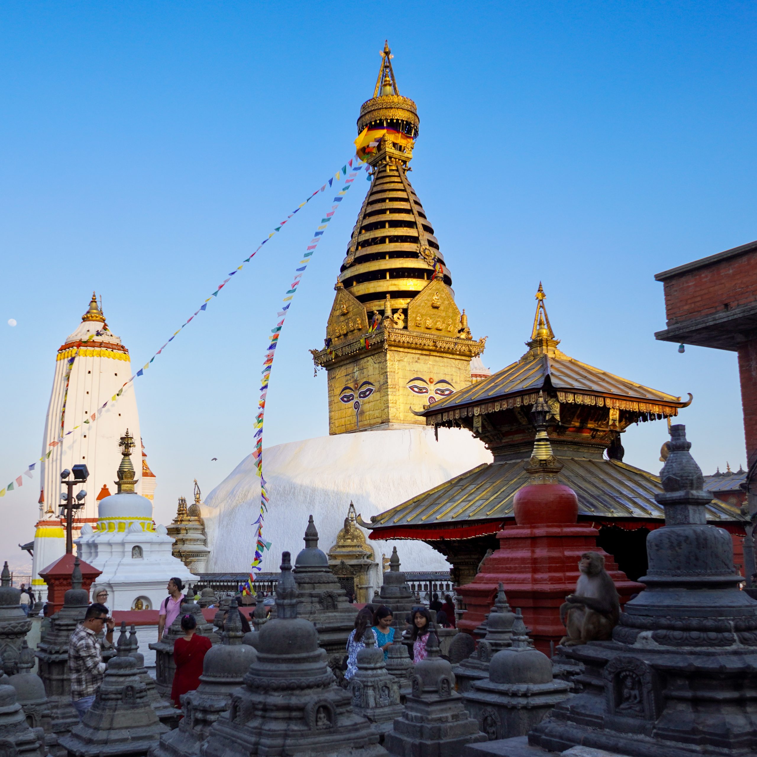 Swyambhunath Views: Capturing Peace Above the Valley 21 Main view of Swayambhunath Stupa with golden spire, prayer flags, and surrounding shrines.